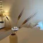 Anna's Cozy Corner 2 Praga